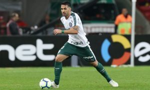 Luan do Palmeiras