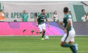 Luan do Palmeiras