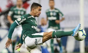 Dudu do Palmeiras