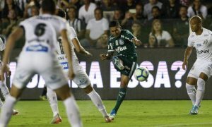 Dudu do Palmeiras