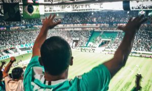 Torcedor Palmeiras