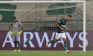 Rony do Palmeiras